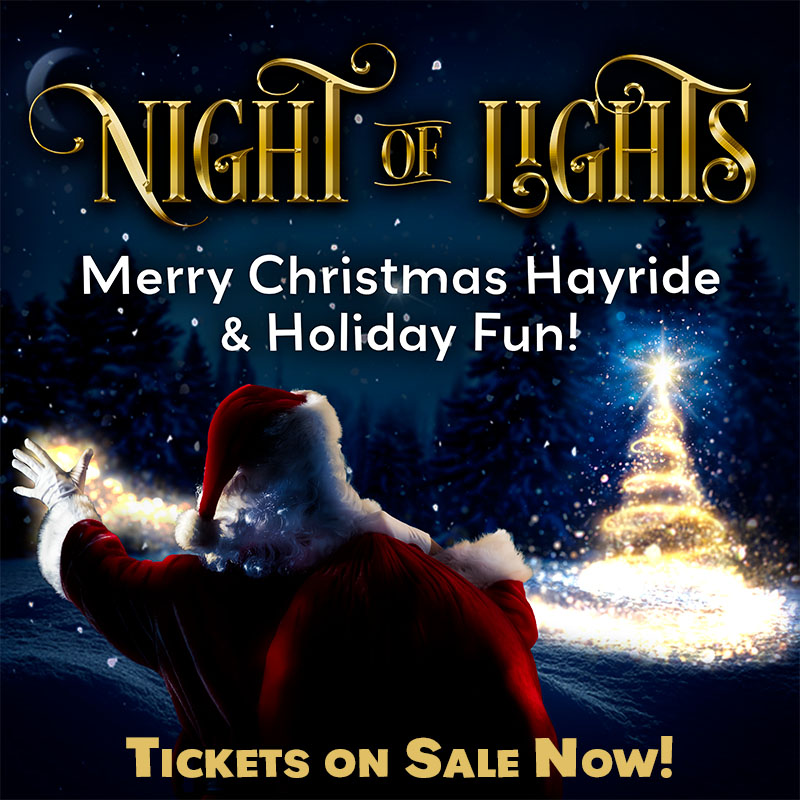Night of Lights Merry Christmas Hayride at Fairview Tree Farm